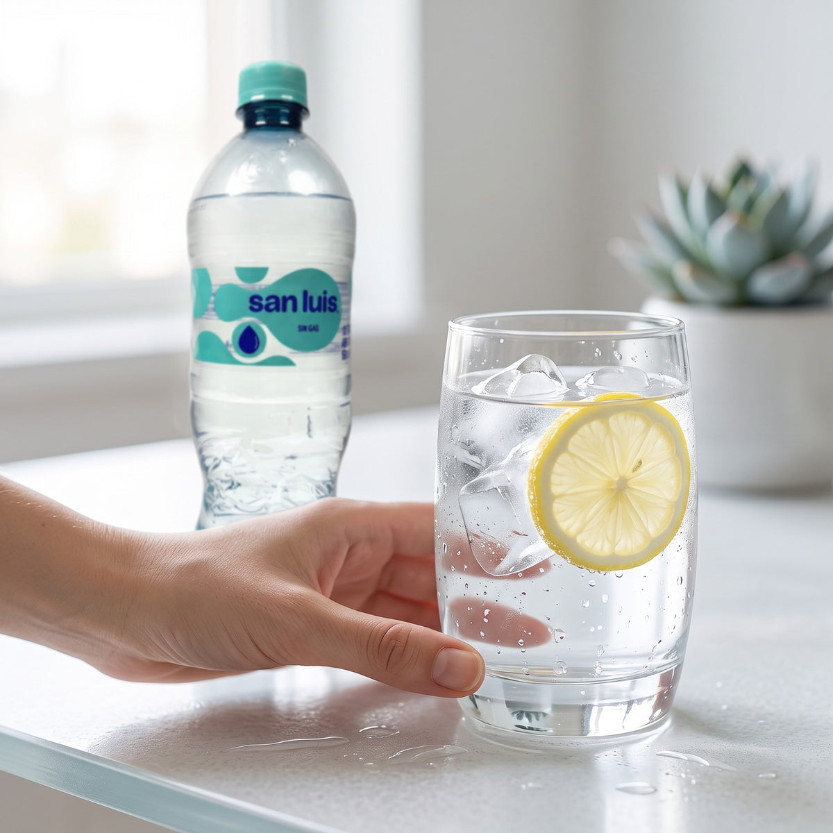 San Luis Agua Sin Gas 750 ml
